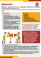 Бруцеллёз-это опасно! Бруцеллёз-это опасно!.