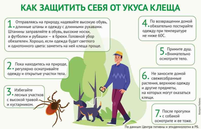 Опасно, клещи! Опасно, клещи!.